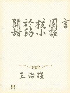 关于校园言情很甜的小说封面