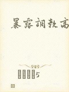 暴露调教高h文