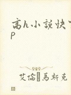高h小说快穿np