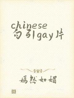 chinese勾引gay片