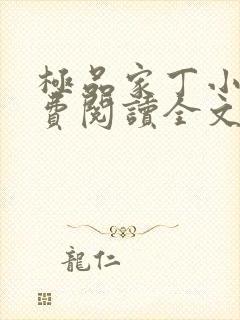 极品家丁小说免费阅读全文无删减封面