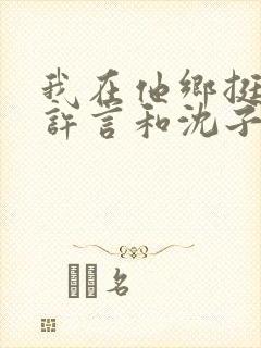 我在他乡挺好的许言和沈子畅结局