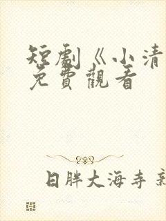 短剧《小清欢》免费观看