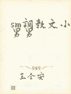 sm调教文小说男男