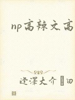 np高辣文高h封面