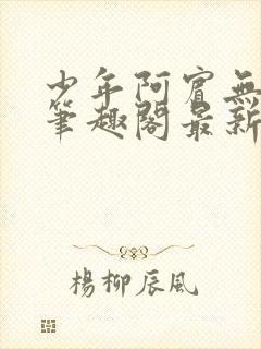 少年阿宾无弹窗笔趣阁最新章节列表
