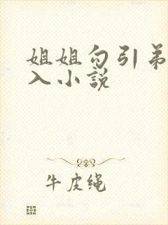 姐姐勾引弟弟后入小说封面