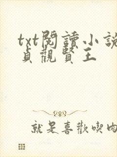 txt阅读小说贞观贤王封面
