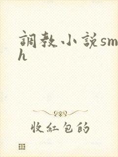 调教小说sm高h