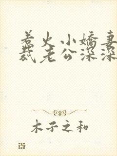 惹火小娇妻:总裁老公深深爱