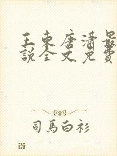 王东唐潇最新小说全文免费阅读第72张