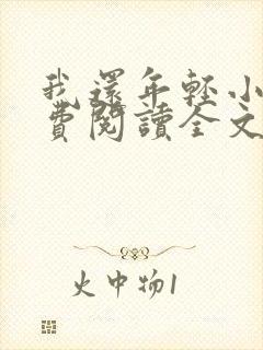 我还年轻小说免费阅读全文无删减