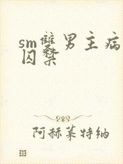sm双男主病娇囚禁