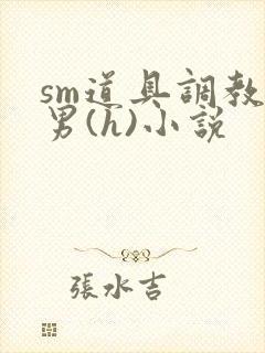 sm道具调教男男(h)小说