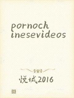 pornochinesevideos