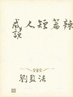 成人短篇辣文小说封面