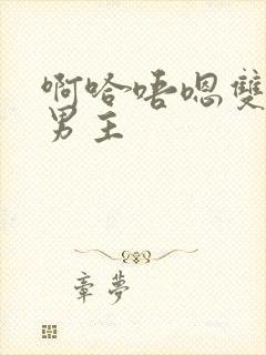 啊哈唔嗯双性双男主