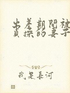 出差期间被夺走贞操的妻子封面