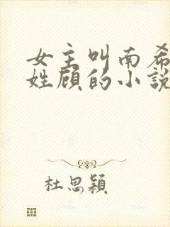 女主叫南希男主姓顾的小说