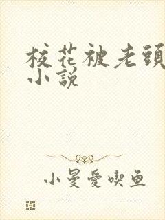 校花被老头吸奶小说