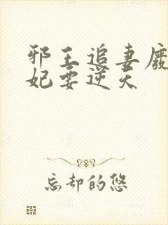 邪王追妻废材狂妃要逆天