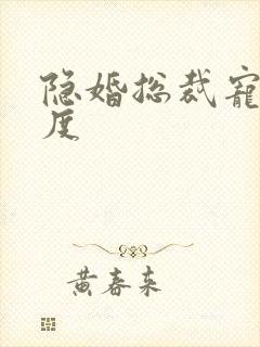 隐婚总裁宠妻无度