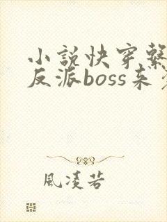 小说快穿系统之反派boss来袭全文