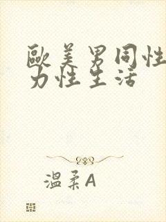 欧美男同性恋暴力性生活
