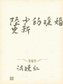 陆少的暖婚新妻更新