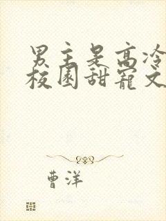 男主是高冷校草校园甜宠文
