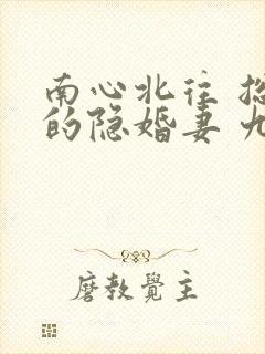 南心北往 总裁的隐婚妻 九月如歌