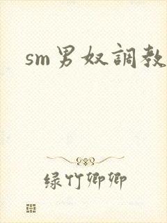 sm男奴调教文