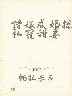 错嫁成婚总裁的私宠甜妻封面