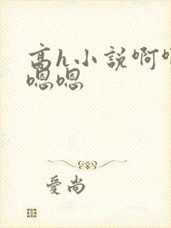 高h小说啊啊啊嗯嗯
