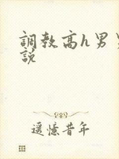 调教高h男男小说