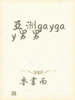 亚洲gaygay男男