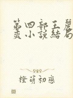 第四部王丽娟张爽小说结局