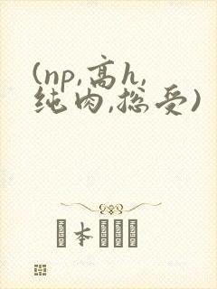 (np,高h,纯肉,总受)