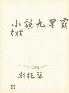 小说九星霸体诀txt封面