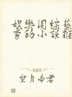 娱乐圈综艺真人秀的小说推荐封面