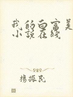 我的白富美老婆小说在线封面