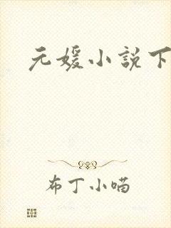 元媛小说下载