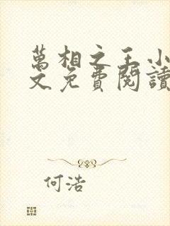 万相之王小说全文免费阅读无弹窗封面
