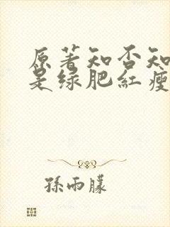 原著知否知否应是绿肥红瘦封面