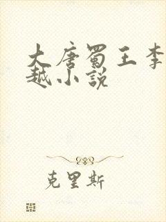 大唐蜀王李恪穿越小说