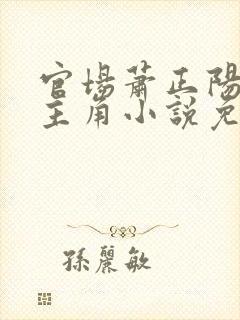 官场萧正阳李冰主角小说免费阅读
