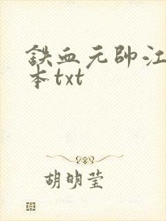 铁血元帅江天全本txt