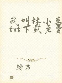 我叫林小喜小说txt下载免费