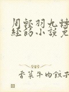 周轻羽九转不灭经的小说免费阅读笔趣阁封面