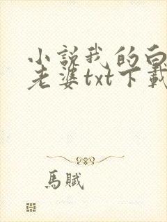 小说我的白富美老婆txt下载